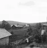 Gagnef. Från Gråbuan, Knusberget till vänster, Flobergets södra ända till höger, Högholn i Floda i bakgrunden. 1920.