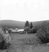 Ganef. Från Gråbuan åt Floda. 1920.