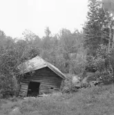 Gagnef. Slogsvekvarn mellan Arfslindan och Bäsna. 1920.