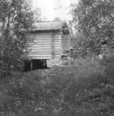 Gagnef. Hästhagskvarn. Skvalta vid Kvarnbättjen mellan Arvslindan och Bäsna. 1920.