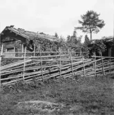 Gagnef. Humlegård, gansö och fäjs, Gräsberget. 1920.